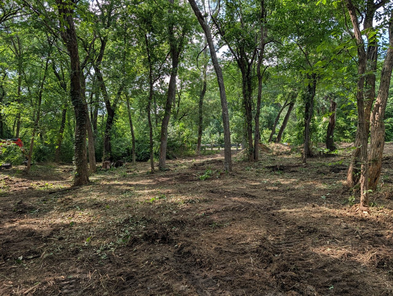 Same wooded plot after Boss Hog clearing — trees kept, ground cleared and mulched