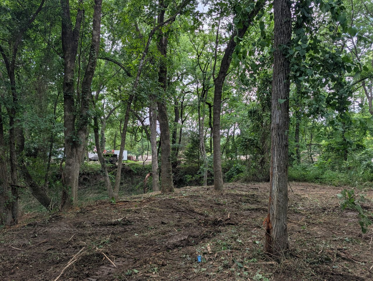 Cleared and mulched ground — the finished forestry mulching cut